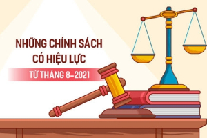 Chính sách mới có hiệu lực từ tháng 8/2021