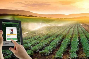 Khoa học và Công nghệ góp phần thực hiện tái cơ cấu ngành, lĩnh vực