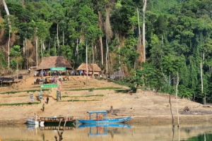 Thành lập Ban Quản lý Vườn Quốc gia sông Thanh trực thuộc UBND tỉnh Quảng Nam