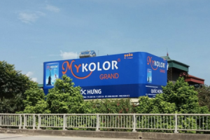 'Khẩu vị' đầu tư chứng khoán của bà chủ Sơn MyKolor