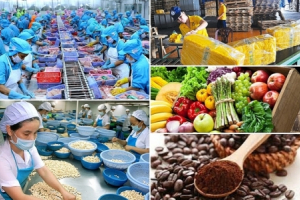 Xuất khẩu nông sản - “Điểm sáng” của nền kinh tế