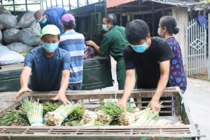 Bộ NN&PTNT đề nghị thành phố Hà Nội hỗ trợ cho các tài xế vận chuyển nông sản