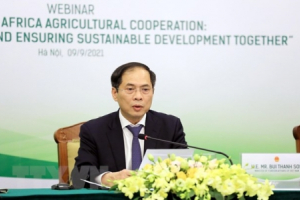 Tăng cường kết nối, hợp tác nông nghiệp Việt Nam - châu Phi