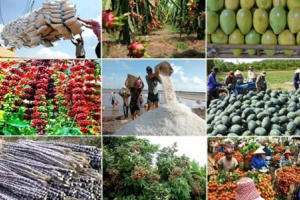Chính phủ chỉ đạo thúc đẩy sản xuất, lưu thông, xuất khẩu nông sản