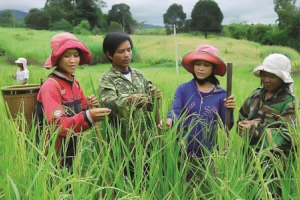 Thẩm định báo cáo nghiên cứu khả thi chương trình mục tiêu quốc gia giảm nghèo bền vững giai đoạn 2021 - 2025