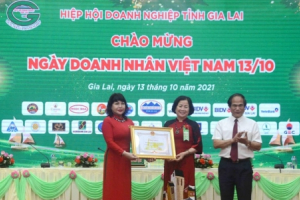 Gia Lai: Bà Nguyễn Thị Sen tái đắc cử Chủ tịch Hiệp hội Doanh nghiệp tỉnh