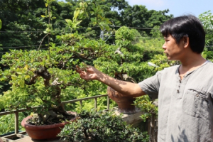 Trần Nam Tước – người nghệ nhân “bách nghệ” của làng gốm Bát Tràng