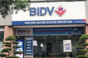 BIDV có kịp hoàn tất trích lập xử lý toàn bộ nợ xấu thuộc đề án tái cơ cấu trong năm nay?