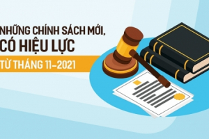 Những chính sách mới có hiệu lực từ tháng 11/2021