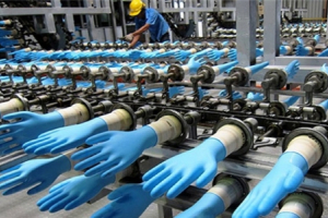 Ngân hàng siết khoản nợ hơn 1.000 tỷ của một công ty sản xuất găng tay y tế