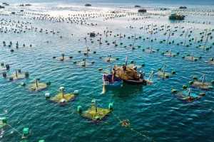 Phê duyệt đề án phát triển nuôi trồng thuỷ sản trên biển đến năm 2030, tầm nhìn đến năm 2045
