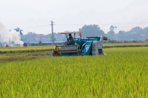 Đến hết 2021 Hà Nội phấn đấu có thêm 3 huyện đạt chuẩn nông thôn mới