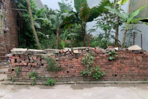 Đánh thuế bất động sản: “Người chưa sở hữu đất sẽ hưởng lợi đầu tiên”