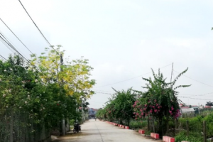  Phát triển nông nghiệp hữu cơ gắn với du lịch sinh thái
