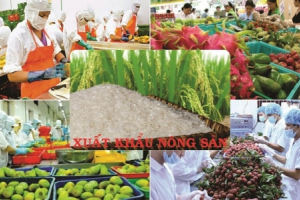 Xuất khẩu nông sản 10 tháng năm 2021 tăng hơn 13%