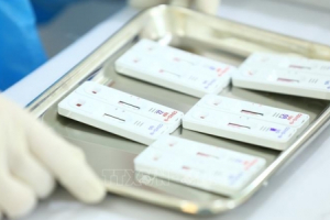 Thành phố Hạ Long xét nghiệm PCR cho tất cả người dân xã Thống Nhất trong tối 28/11
