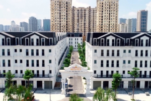 Ngân hàng nào bơm vốn cho Vimefulland của bà chủ Vimedimex?