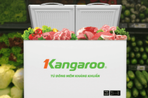 Tủ đông kháng khuẩn Kangaroo giải quyết vấn đề nhức nhối trong căn bếp gia đình Việt