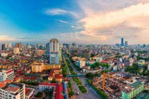 Xử lý nghiêm các hành vi vi phạm quy định pháp luật trong việc đấu giá quyền sử dụng đất
