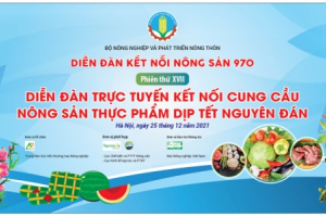 Diễn đàn trực tuyến kết nối cung cầu nông sản thực phẩm dịp tết Nguyên đán Nhâm Dần