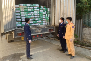 Tạm giữ 14.000 kg thịt bò không rõ nguồn gốc