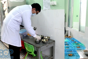 Tân Yên  -  Bắc Giang: Tích cực triển khai quản lý nhà nước về an toàn thực phẩm