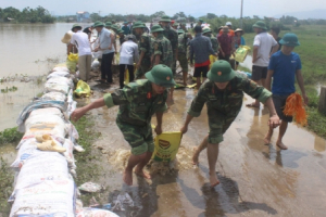 Xử phạt vi phạm hành chính trong lĩnh vực phòng, chống thiên tai; thủy lợi; đê điều 