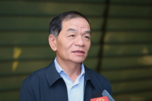 Vụ Tân Hoàng Minh bỏ cọc đất "vàng" Thủ Thiêm: Cần có tội danh về lũng đoạn thị trường BĐS