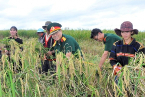 Chi nhánh Công ty 75 (Binh đoàn 15): Điểm sáng trong công tác “Dân vận khéo”