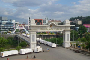 Trung Quốc lại tạm ngừng nhập khẩu hàng hóa qua cửa khẩu Hà Khẩu - Lào Cai do có ca nhiễm Covid