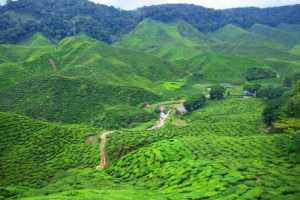 Du lịch Bắc Giang - khám phá miền đất nhiều danh thắng nổi tiếng