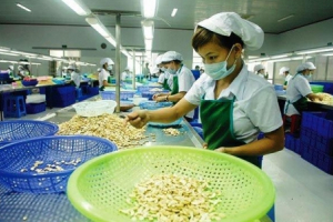 Vụ 100 container hạt điều có thêm diễn biến tích cực