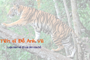 Cùng Tiến sĩ Đỗ Anh Vũ luận bàn 10 cái tên của hổ