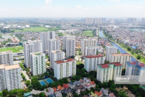 Lũng loạn đấu giá đất, Đại biểu băn khoăn có nên hình sự hóa