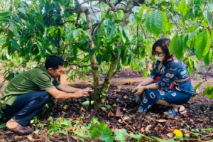 Áp dụng công nghệ tưới tưới tiết kiệm nước giúp tăng năng suất cây trồng