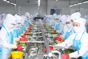Xuất khẩu tôm sang Trung Quốc sẽ phục hồi trở lại trong năm 2022