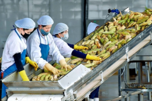 Đề xuất giãn, hoãn tiền thuế cho doanh nghiệp năm 2022