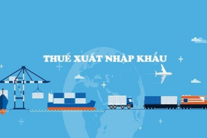 Bổ sung quy định về thuế xuất nhập khẩu ưu đãi theo Hiệp định Đối tác Toàn diện và Tiến bộ xuyên Thái Bình Dương áp dụng đối với Peru