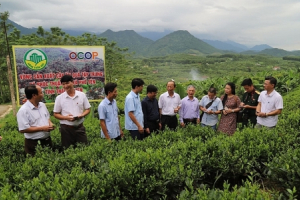 Thị xã Phổ Yên (Thái Nguyên): Hướng đến nông thôn mới kiểu mẫu