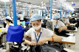 Nâng cao chất lượng nghề cho lao động nông thôn, thực hiện chuyển đổi số để tăng cường kết nối cung - cầu 