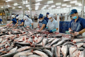 Nhiều cơ hội xuất khẩu cho cá tra Việt Nam sang thị trường Anh