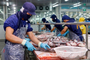 EU ban hành ngưỡng dư lượng thủy ngân mới trong thủy sản và muối