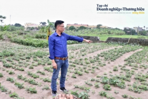Thái Bình: Một mảnh đất tồn tại 2 sổ đỏ 