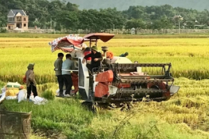 Công an xã Sơn Trà - Hà Tĩnh: chủ động ngăn chặn tình trạng tranh giành, bảo kê máy gặt lúa