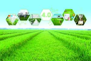 Nông nghiệp 4.0 trước bẫy "4 không"