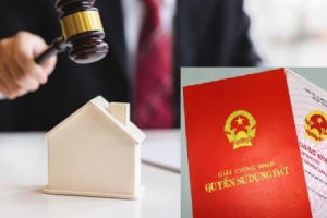 Tăng cường công tác quản lý đất đai, chấn chỉnh việc đấu giá đất