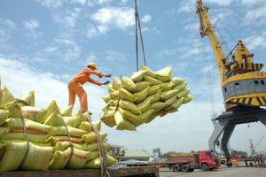 Lợi thế của gạo Việt Nam xuất khẩu vào các nước ASEAN rất lớn