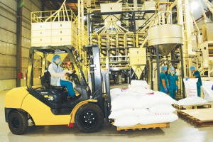 Nông sản xuất khẩu sang Đức: không những sạch và ngon mà còn phải đẹp