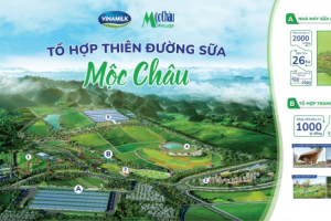 Hé lộ hình ảnh Thiên đường sữa tại Mộc Châu - kỳ quan tương lai của Tây Bắc