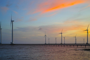 Phê duyệt đề án về nhiệm vụ, giải pháp triển khai kết quả Hội nghị COP 26